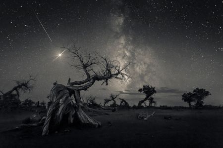 اخبار,اخبارعلمی وآموزشی, آسمان شب را از نگاه برترین عکاسان ۲۰۱۹ اخبار,اخبارعلمی وآموزشی, آسمان شب را از نگاه برترین عکاسان ۲۰۱۹