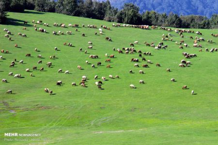 اخبار,انعکاس,سوها؛ نگین درخشان کوه های نمین اردبیل