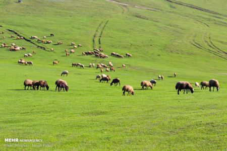 اخبار,انعکاس,سوها؛ نگین درخشان کوه های نمین اردبیل