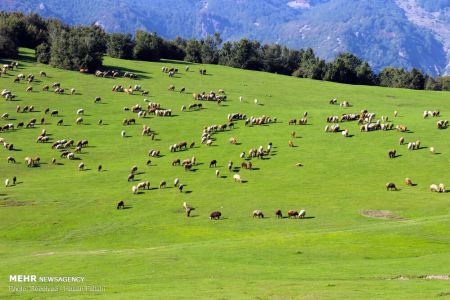 اخبار,انعکاس,سوها؛ نگین درخشان کوه های نمین اردبیل