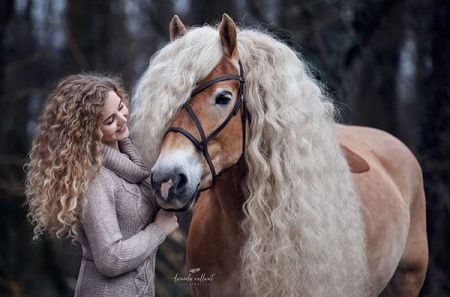 اخبار,اخبارگوناگون,هر دختری به مو‌های این اسب حسادت می‌کند!