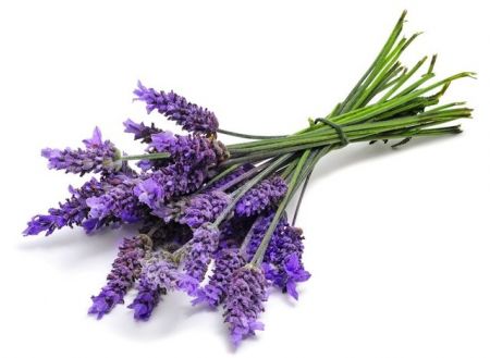 اخبار,اخبار پزشکی,داروهای گیاهی اخبار,اخبار پزشکی,داروهای گیاهی