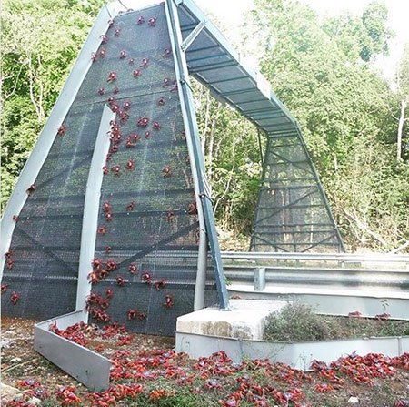اخبار,اخبار گوناگون,معماری های زیبای طبیعت اخبار,اخبار گوناگون,معماری های زیبای طبیعت