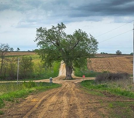 اخبار,اخبار گوناگون,معماری های زیبای طبیعت