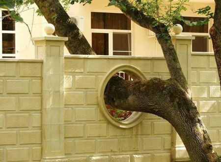 اخبار,اخبار گوناگون,معماری های زیبای طبیعت اخبار,اخبار گوناگون,معماری های زیبای طبیعت