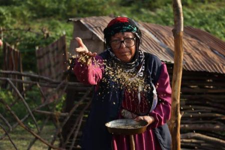 اخبار,اخبار فرهنگی,فیلم سینمایی