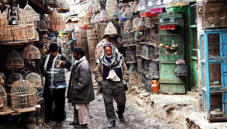 اخبار,اخبار گوناگون,عجیب‌ترین بازارهای جهان