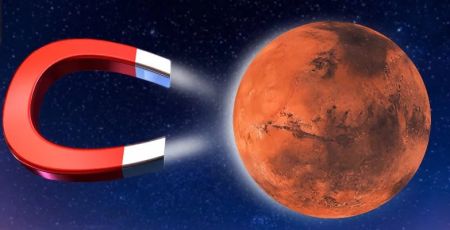 اخبار,اخبار علمی اخبار,اخبار علمی