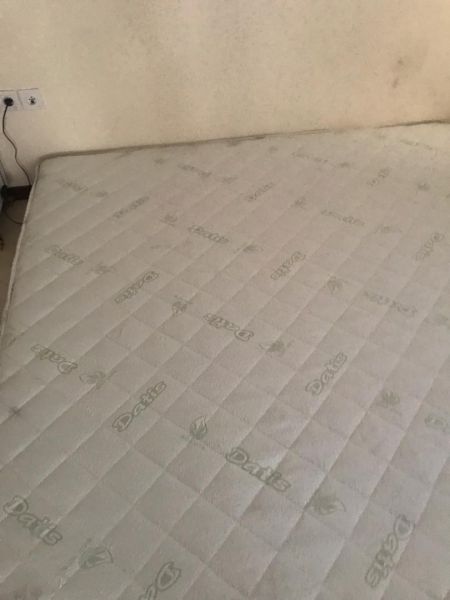 اخبار,اخبار ورزشی,گادوین منشا اخبار,اخبار ورزشی,گادوین منشا