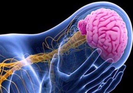 اخبار پزشکی ,خبرهای پزشکی ,بیماریهای مغزی اخبار پزشکی ,خبرهای پزشکی,بیماریهای مغزی