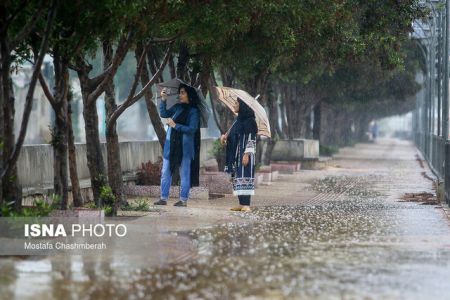  اخبار اجتماعی ,خبرهای اجتماعی,بارش در کشور