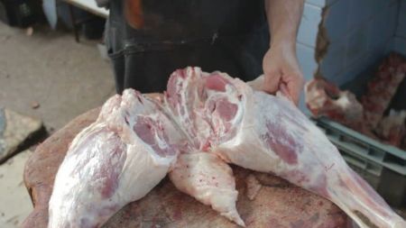 اخبار اقتصادی ,خبرهای اقتصادی ,گوشت شتر اخبار اقتصادی ,خبرهای اقتصادی ,گوشت شتر