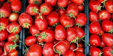 اخبار پزشکی ,خبرهای پزشکی ,وجهفرنگی اخبار پزشکی ,خبرهای پزشکی,وجهفرنگی