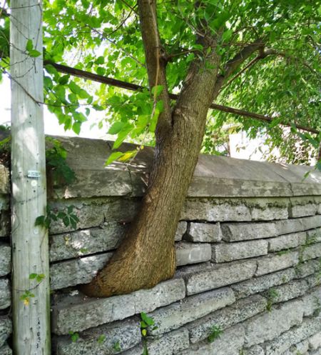 اخبارگوناگون,خبرهای گوناگون ,گسترش دانش و آگاهی اخبارگوناگون,خبرهای گوناگون ,گسترش دانش و آگاهی