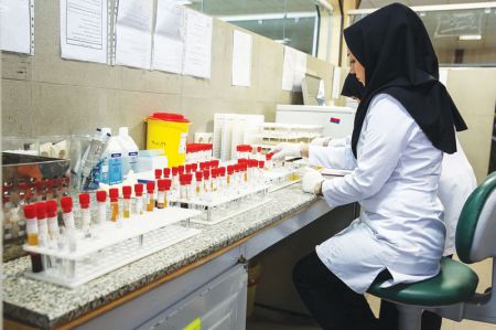 اخباراجتماعی ,خبرهای اجتماعی ,امنیت شغلی زنان اخبار اجتماعی ,خبرهای اجتماعی, امنیت شغلی زنان