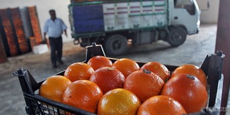 اخبار اقتصادی ,خبرهای اقتصادی ,پرتقالهای نارس اخبار اقتصادی ,خبرهای اقتصادی ,پرتقالهای نارس