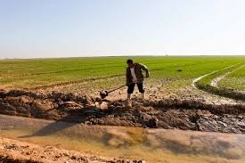 اخبار اقتصادی ,خبرهای اقتصادی ,زمینهای خشک اخبار اقتصادی ,خبرهای اقتصادی ,زمینهای خشک