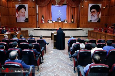 اخباراجتماعی ,خبرهای اجتماعی , دادگاه شبنم نعمتزاده اخبار اجتماعی ,خبرهای اجتماعی, دادگاه شبنم نعمتزاده
