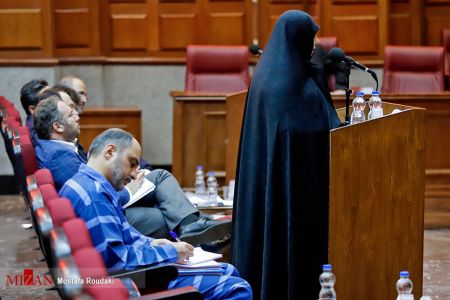 اخباراجتماعی ,خبرهای اجتماعی , دادگاه شبنم نعمتزاده اخبار اجتماعی ,خبرهای اجتماعی, دادگاه شبنم نعمتزاده