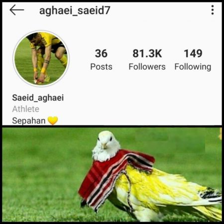 اخبارورزشی ,خبرهای ورزشی ,استقلال اخبار ورزشی ,خبرهای ورزشی ,استقلال