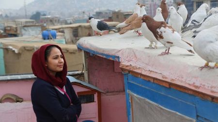 اخبار فرهنگی,خبرهای فرهنگی,سینمای افغانستان اخبار فرهنگی,خبرهای فرهنگی, سینمای افغانستان