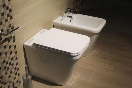 اخبار علمی,خبرهای علمی ,توالت اخبار علمی ,خبرهای علمی,توالت