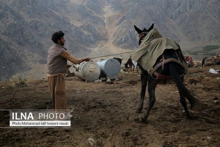 اخبار,عکس خبری,کولبری