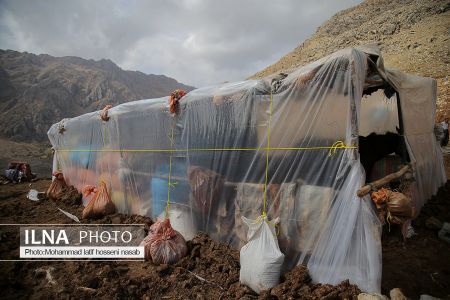 اخبار,عکس خبری,کولبری اخبار,عکس خبری,کولبری