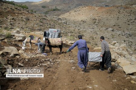 اخبار,عکس خبری,کولبری