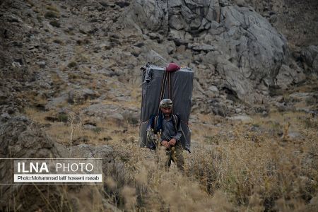 اخبار,عکس خبری,کولبری اخبار,عکس خبری,کولبری