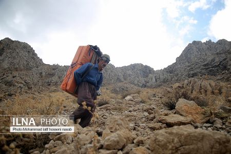 اخبار,عکس خبری,کولبری اخبار,عکس خبری,کولبری