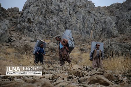 اخبار,عکس خبری,کولبری اخبار,عکس خبری,کولبری