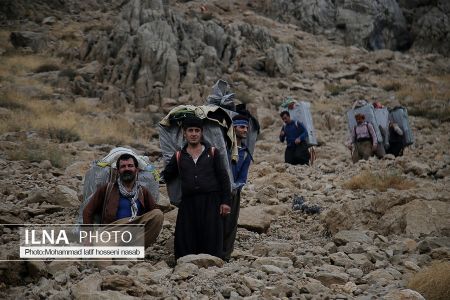اخبار,عکس خبری,کولبری اخبار,عکس خبری,کولبری