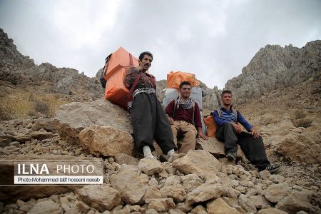 اخبار,عکس خبری,کولبری اخبار,عکس خبری,کولبری