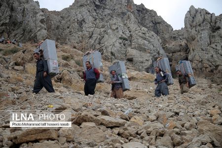 اخبار,عکس خبری,کولبری اخبار,عکس خبری,کولبری