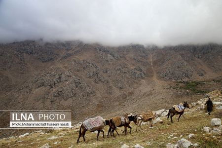 اخبار,عکس خبری,کولبری اخبار,عکس خبری,کولبری