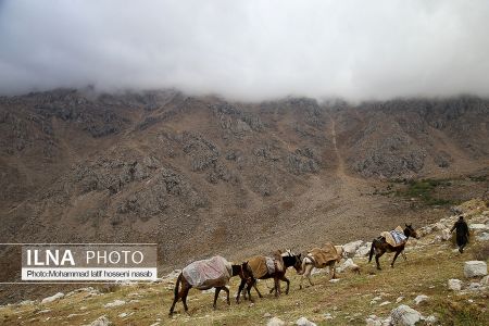 اخبار,عکس خبری,کولبری