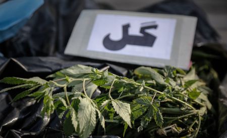 اخبار,اخبارحوادث,جمعآوری ۱۱۰۰ معتاد متجاهر و خردهفروش در تهران اخبار,اخبارحوادث,جمعآوری ۱۱۰۰ معتاد متجاهر و خردهفروش در تهران