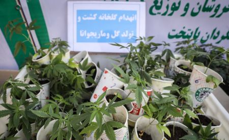 اخبار,اخبارحوادث,جمعآوری ۱۱۰۰ معتاد متجاهر و خردهفروش در تهران اخبار,اخبارحوادث,جمعآوری ۱۱۰۰ معتاد متجاهر و خردهفروش در تهران