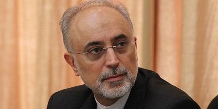 اخبار,اخبار سیاست خارجی,علیاکبر صالحی اخبار,اخبار سیاست خارجی,علیاکبر صالحی