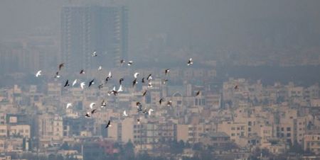 اخبار,اخبار اجتماعی,تعطیلی ساعات ورزش مدارس اخبار,اخبار اجتماعی,تعطیلی ساعات ورزش مدارس