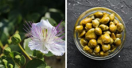 اخبار,اخبار گوناگون,ادویه اخبار,اخبار گوناگون,ادویه