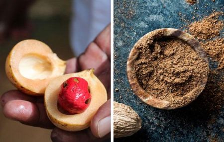اخبار,اخبار گوناگون,ادویه اخبار,اخبار گوناگون,ادویه