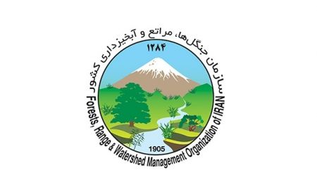 اخبار,اخبار اجتماعی,سازمان جنگلها اخبار,اخبار اجتماعی,سازمان جنگلها