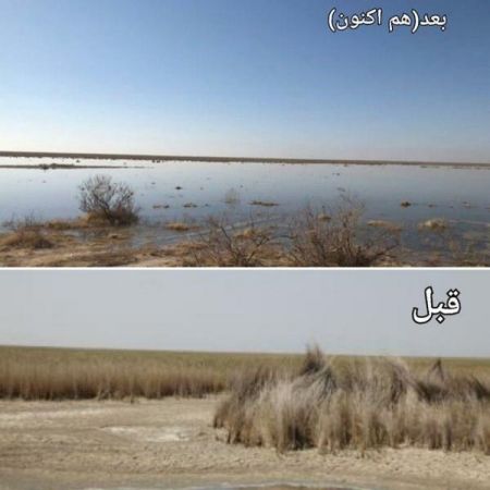 اخبار,اخبار اجتماعی اخبار,اخبار اجتماعی