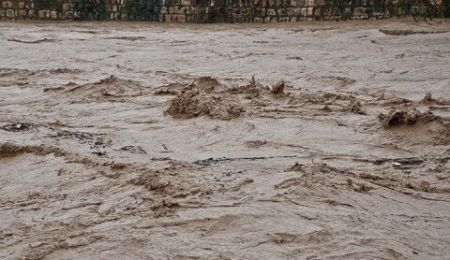 اخبار,اخبار اجتماعی,جاری شدن سیل در تربت‌جام