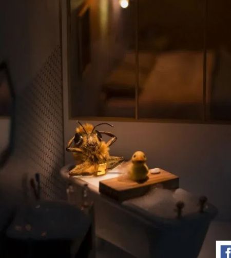 اخبارگوناگون,خبرهای گوناگون ,محبوب ترین زنبور عسل اخبارگوناگون,خبرهای گوناگون ,محبوب ترین زنبور عسل