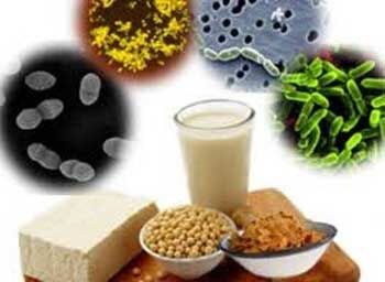 اخبار پزشکی ,خبرهای پزشکی ,داروهای پروبیوتیک اخبار پزشکی ,خبرهای پزشکی,داروهای پروبیوتیک