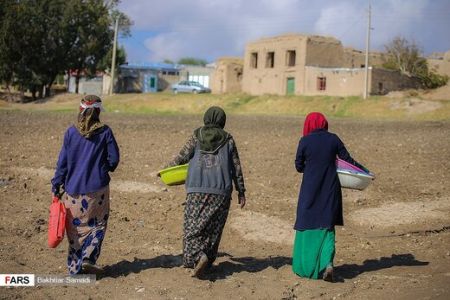 اخباراقتصادی ,خبرهای اقتصادی , زعفران اخباراقتصادی ,خبرهای اقتصادی, زعفران