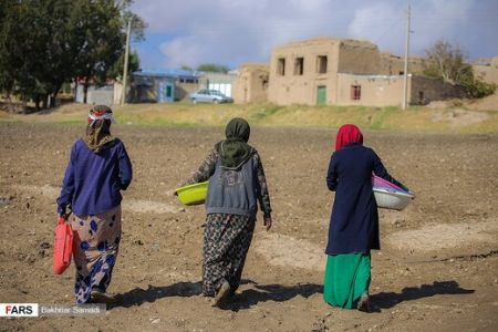  اخباراقتصادی ,خبرهای اقتصادی, زعفران